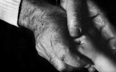 Capture d’écran 2026-04-28 à 11.56.28