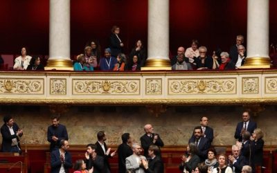 IMAGE 2026-02-17 17:46:08